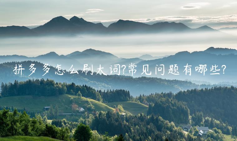 拼多多怎么刷大詞?常見(jiàn)問(wèn)題有哪些?